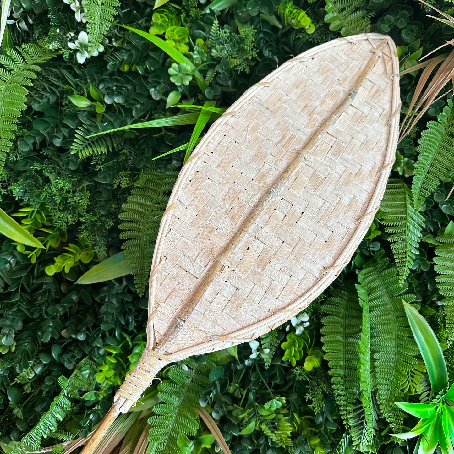 Bamboo Leaf Stem