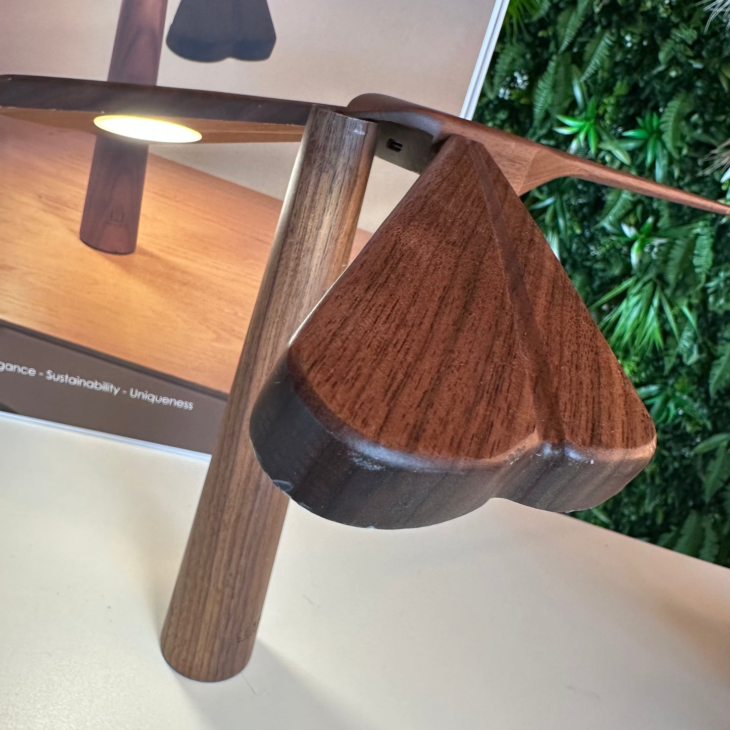 Dragonflight Balance Light