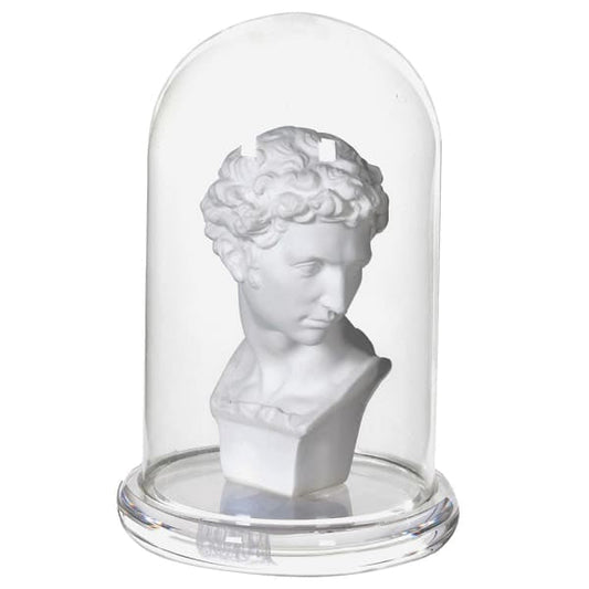 Bust in Glass Cloche - OUThaus