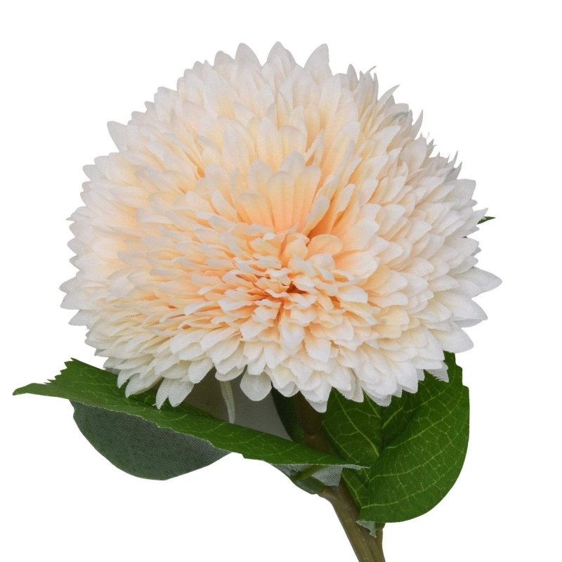 Chrysanthemum Stem (Light Peach) - OUThaus