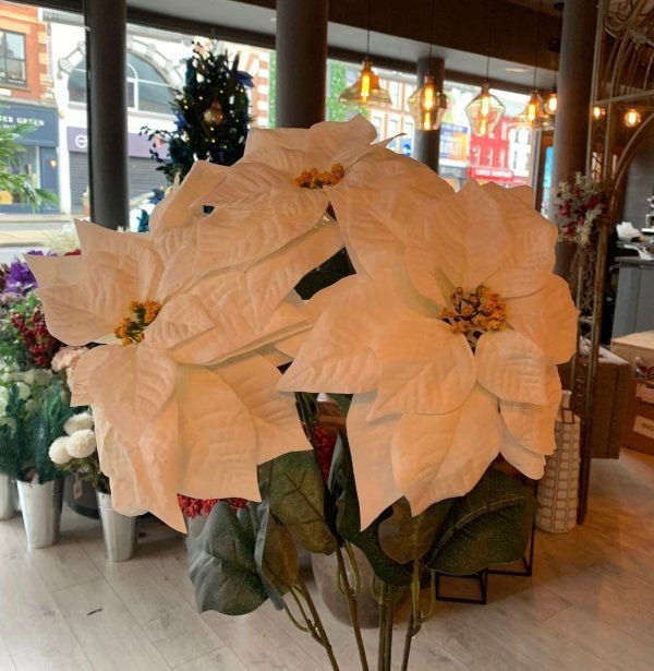Deluxe Velvet Poinsettia Cream - OUThaus