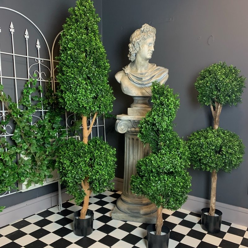 Double Ball Boxwood Tree - OUThaus