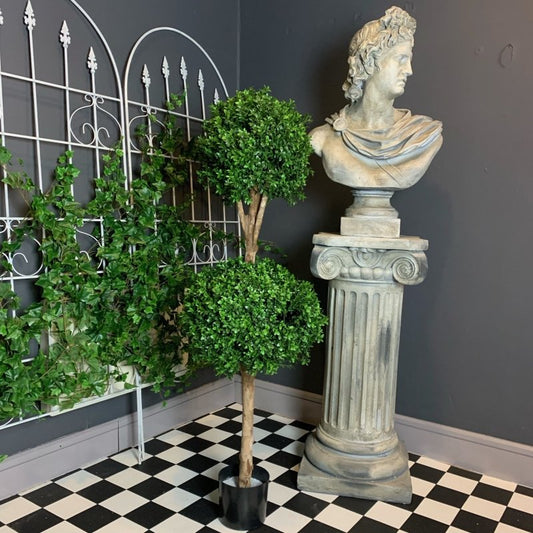 Double Ball Boxwood Tree - OUThaus