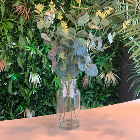 Eucalyptus in Glass Vase - OUThaus