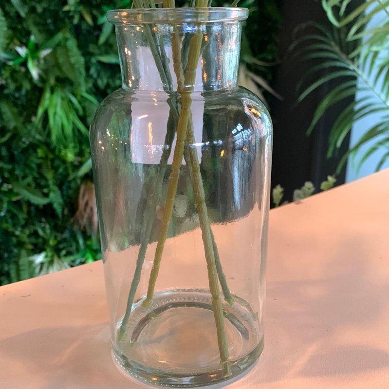 Eucalyptus in Glass Vase - OUThaus