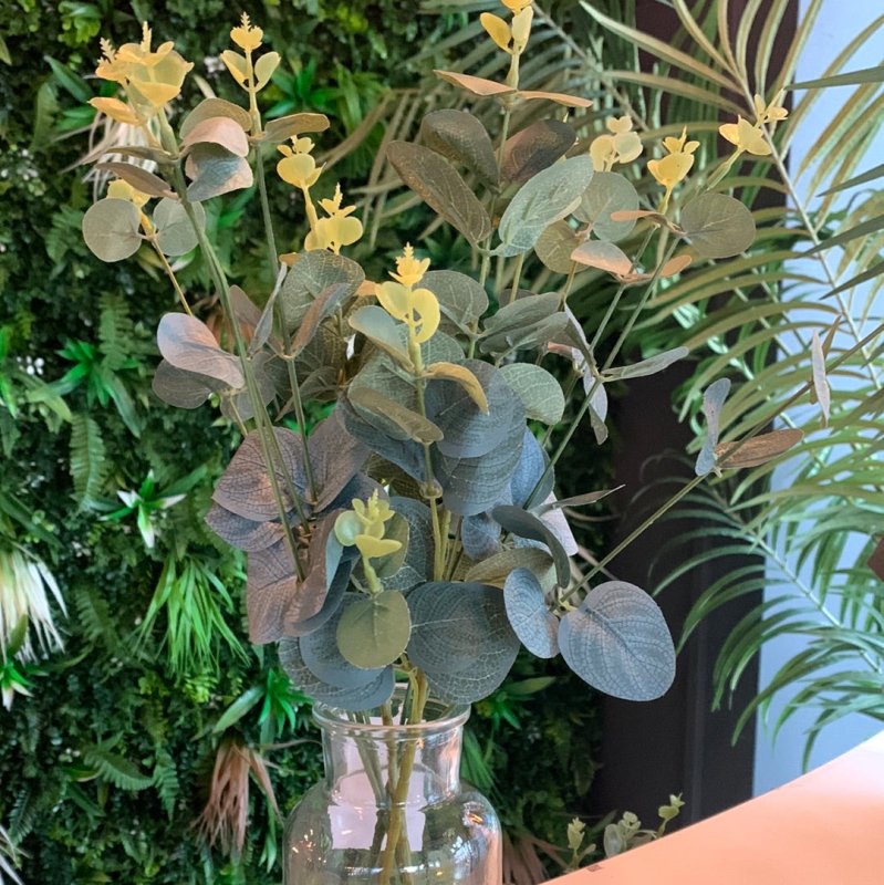 Eucalyptus in Glass Vase - OUThaus