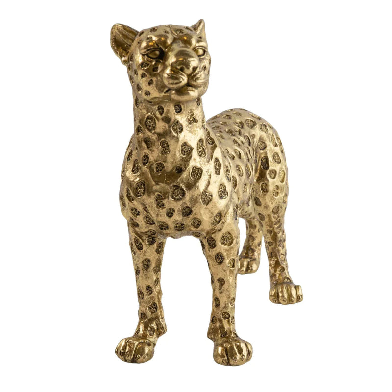 Gold Leopard - OUThaus