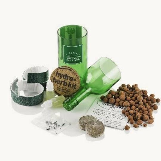 Hydro Herb Coriander - OUThaus
