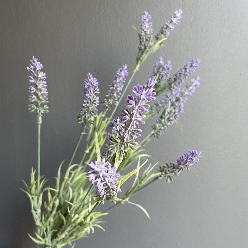 Lavender Stem - OUThaus