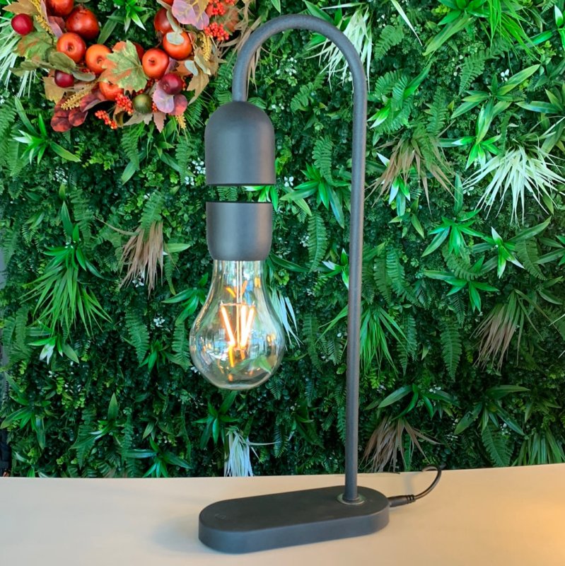 Light Bulb Lamp (Black) - OUThaus