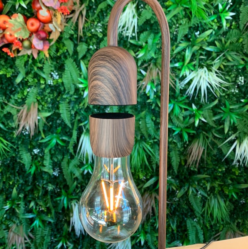 Light Bulb Lamp (Walnut) - OUThaus