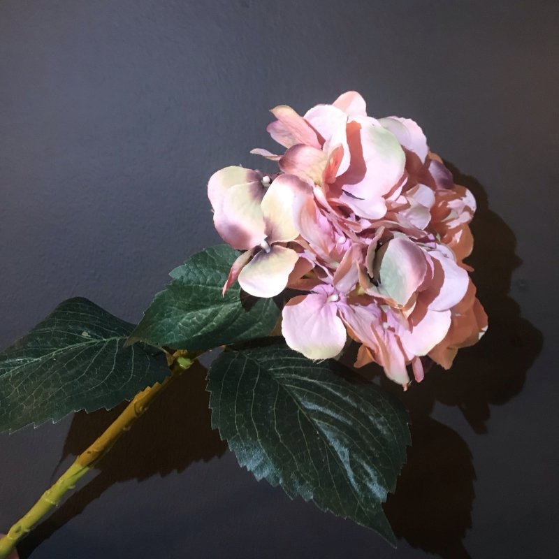 Pink Hydrangea - OUThaus