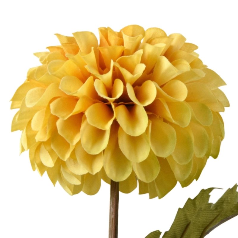 Single Dahlia Stem (Ochre) - OUThaus