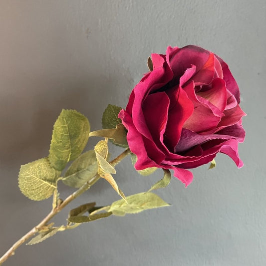 Single Rose Stem Burgundy - OUThaus
