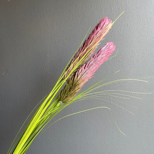 Thistle Grass (Purple) - OUThaus