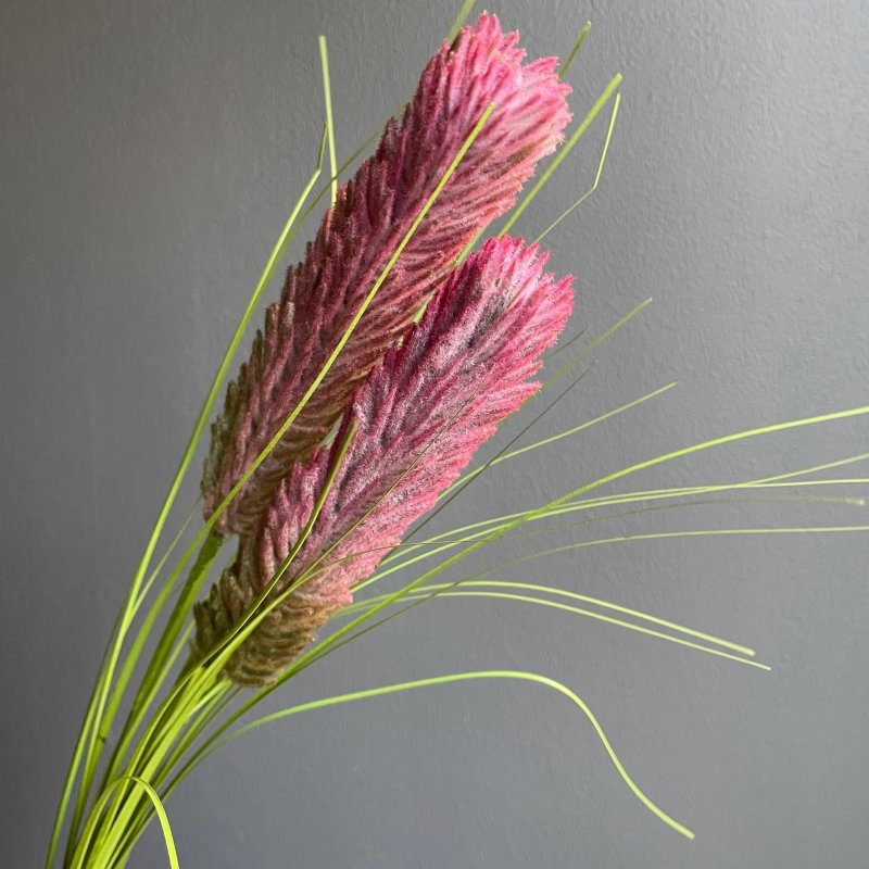 Thistle Grass (Purple) - OUThaus
