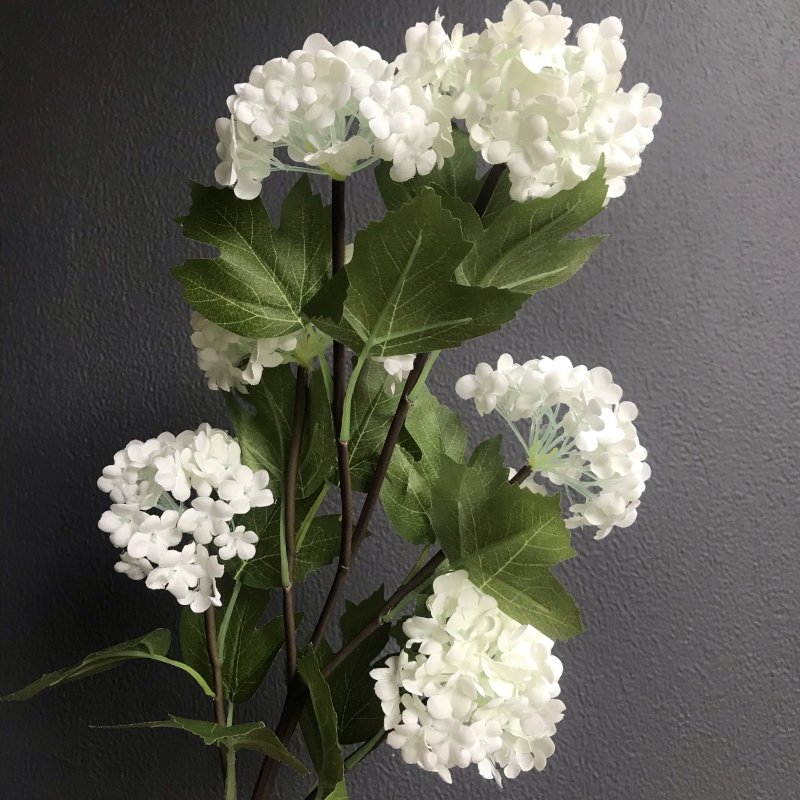 Viburnum Stem (White 6 heads) - OUThaus