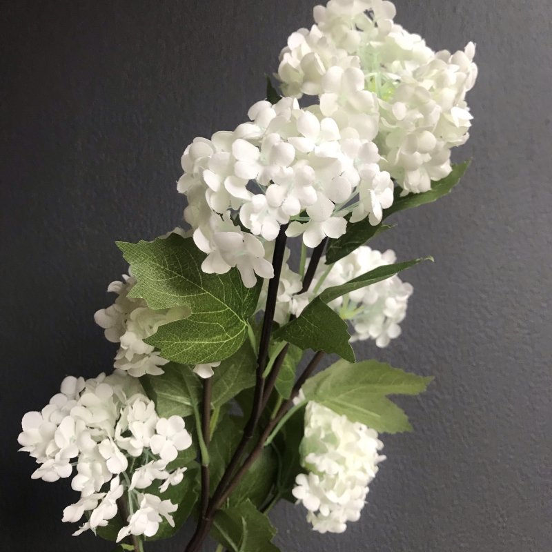 Viburnum Stem (White 6 heads) - OUThaus