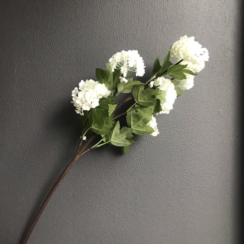 Viburnum Stem (White 6 heads) - OUThaus