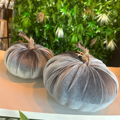 Velvet Pumpkin (Grey)