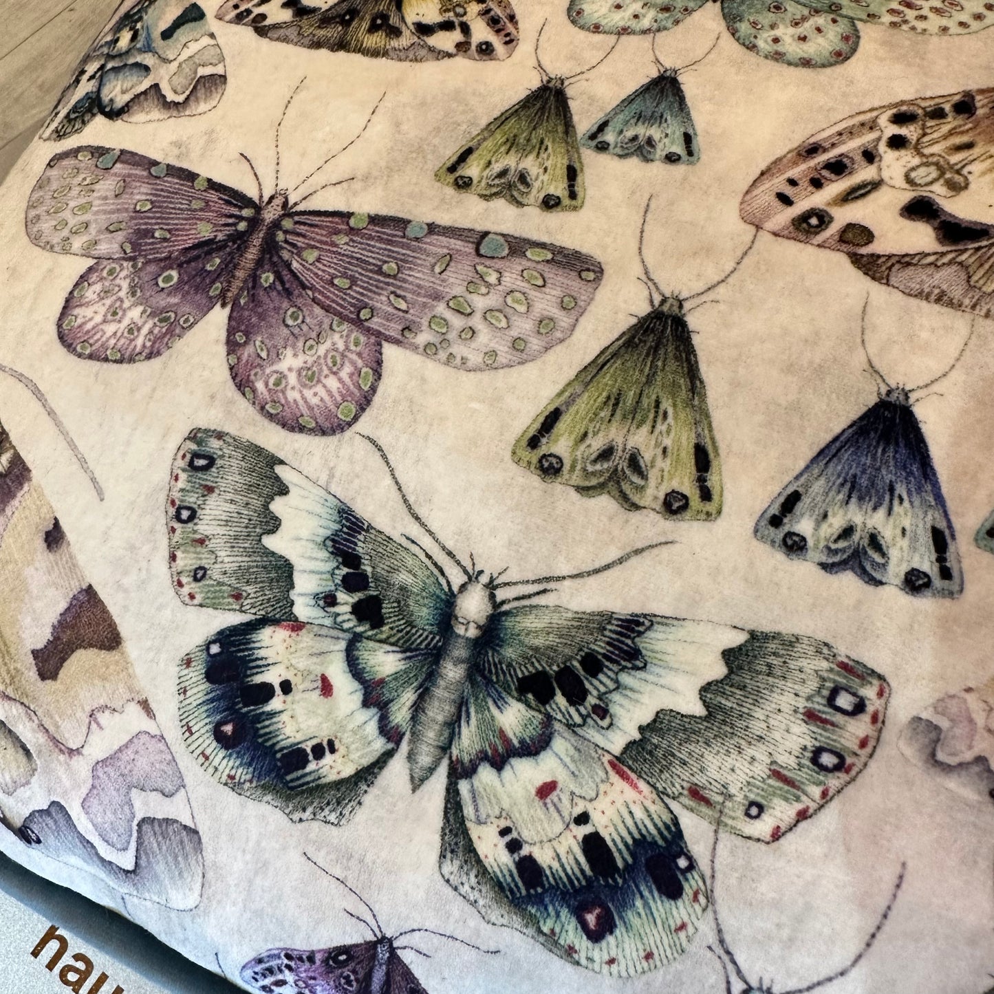 Butterfly Cushion