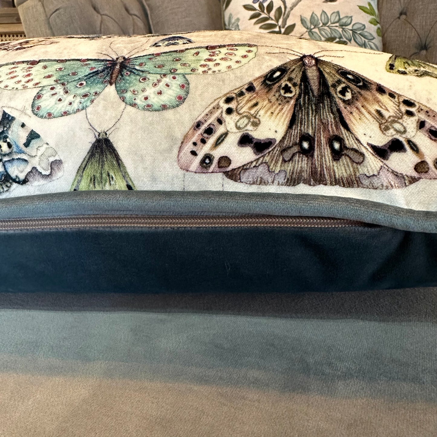 Butterfly Cushion