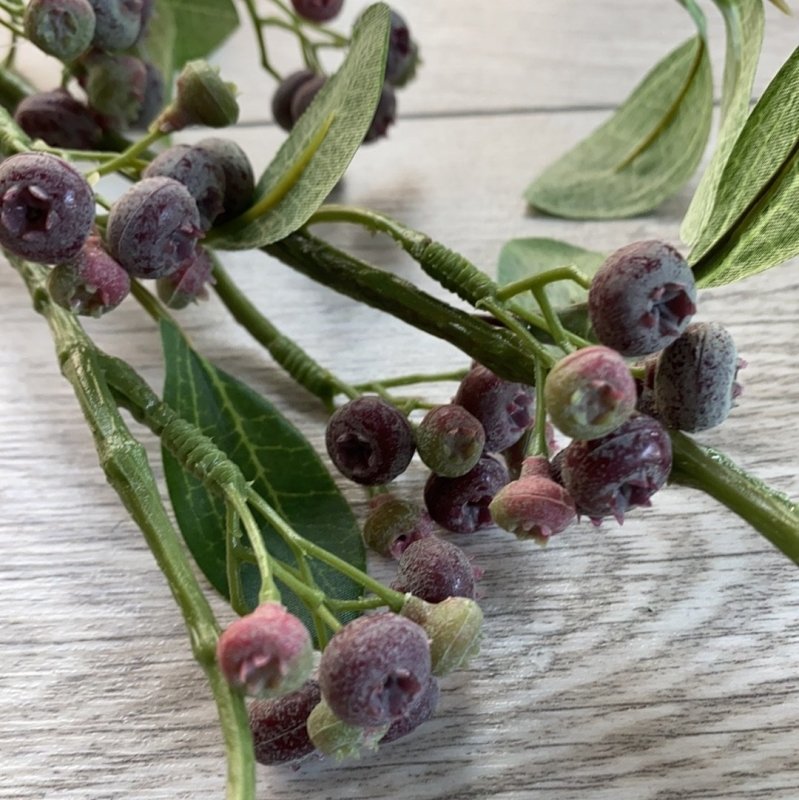 Blueberry stem (purple) - OUThaus