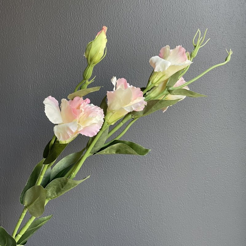 Eustoma Flowers with Buds - OUThaus