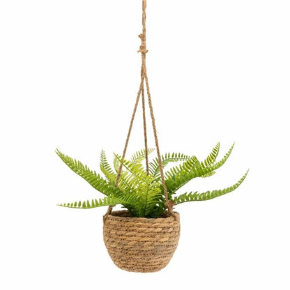 Fern in Rattan Basket - OUThaus