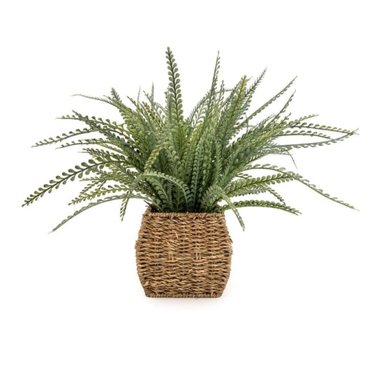 Ferns in Seagrass Basket - OUThaus