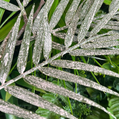 Frosted Bamboo Stem - OUThaus