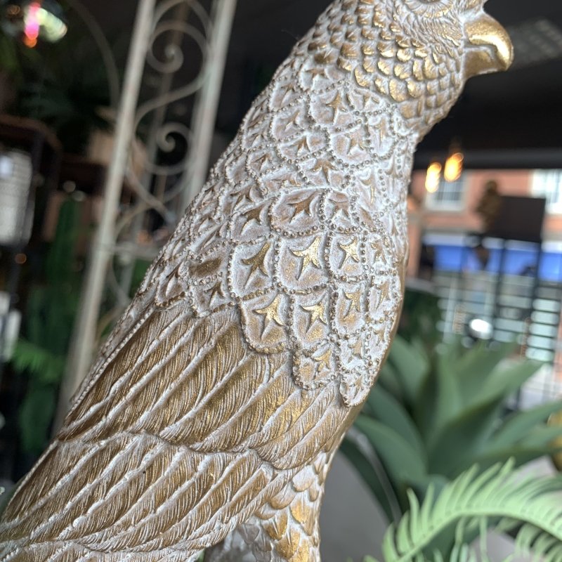 Gold/White Parrot - OUThaus