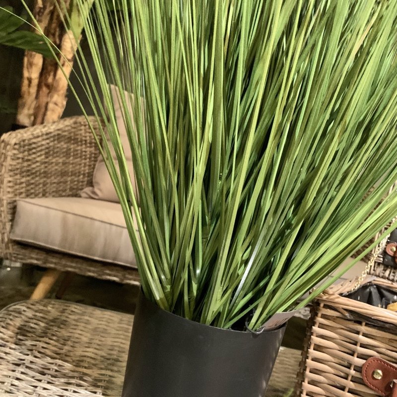 Grass In Pot - OUThaus