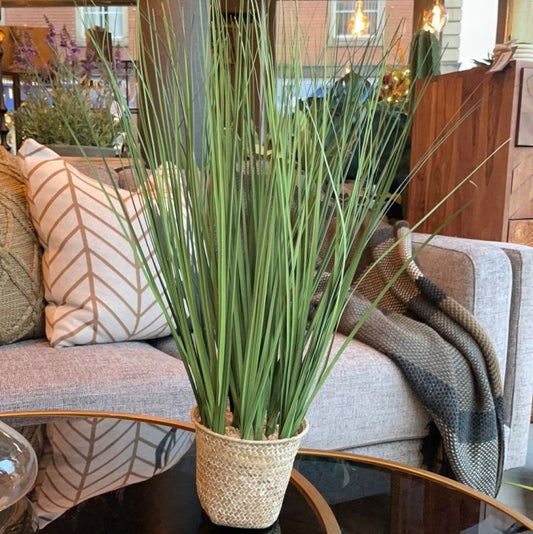 Grass in Rattan Basket - OUThaus