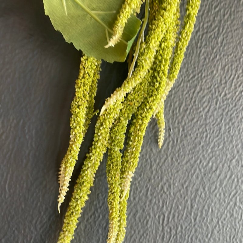 Green Amaranthus Spray (14 heads) - OUThaus