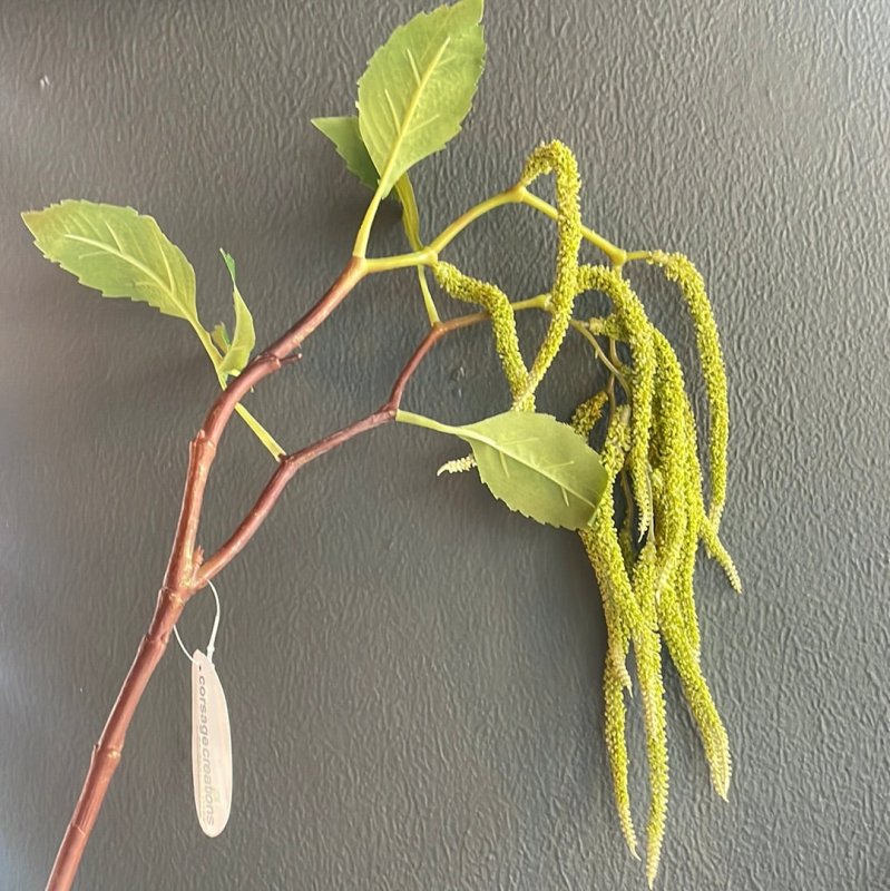 Green Amaranthus Spray (14 heads) - OUThaus