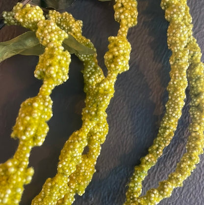 Green Amaranthus Spray - OUThaus