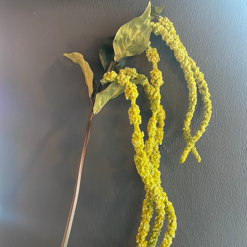 Green Amaranthus Spray - OUThaus