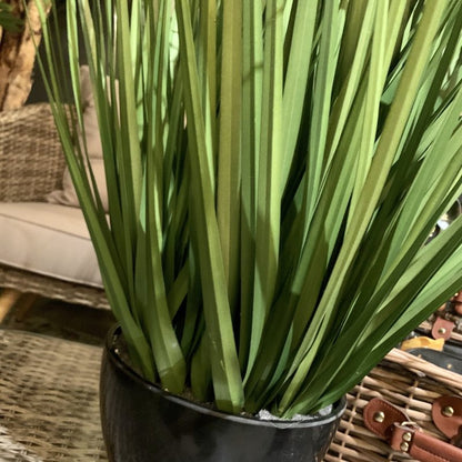 Green Grass In Pot - OUThaus