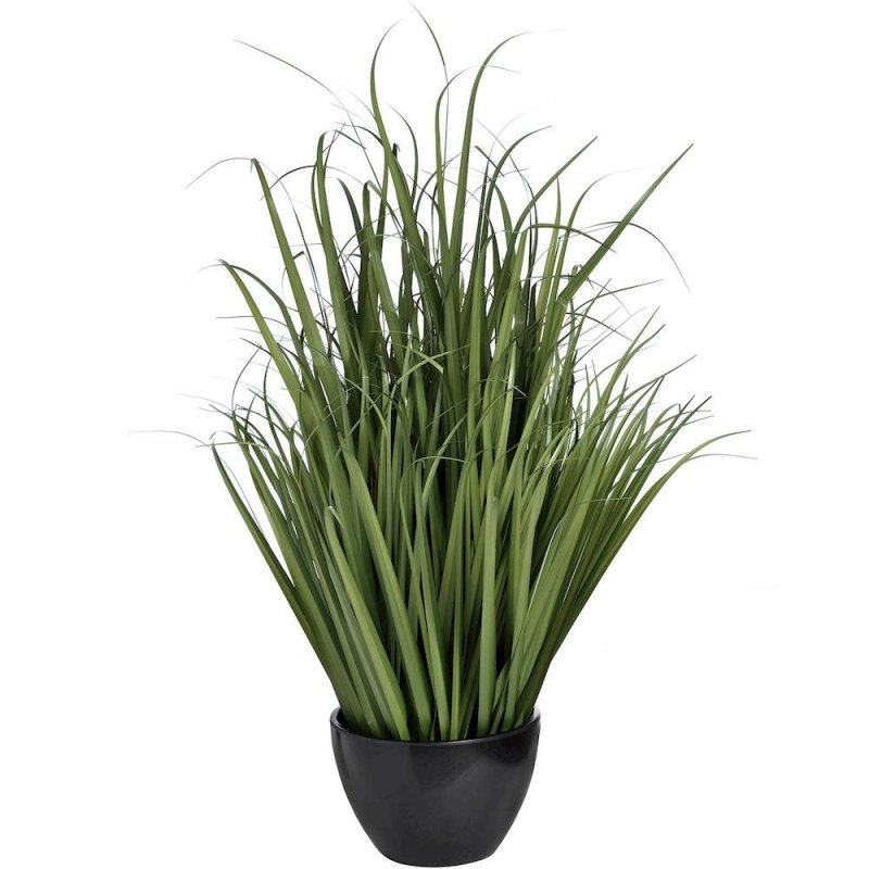 Green Grass In Pot - OUThaus