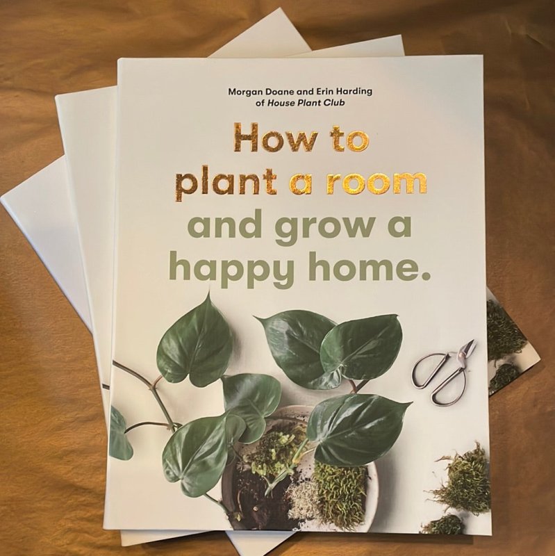 How to Plant a Room and Grow a Happy Home - OUThaus