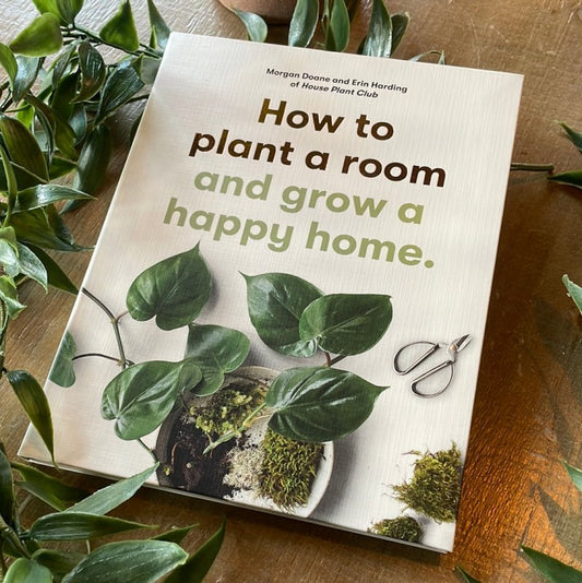 How to Plant a Room and Grow a Happy Home - OUThaus