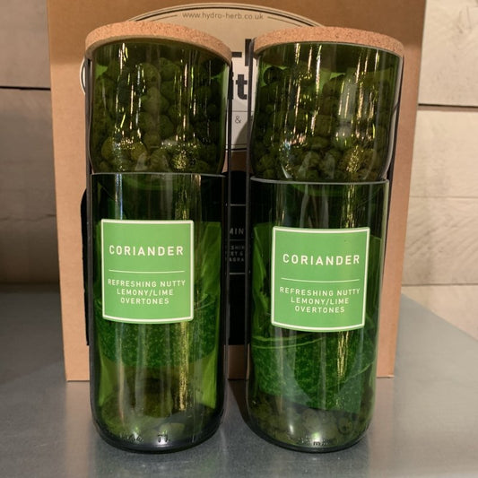 Hydro Herb Coriander - OUThaus