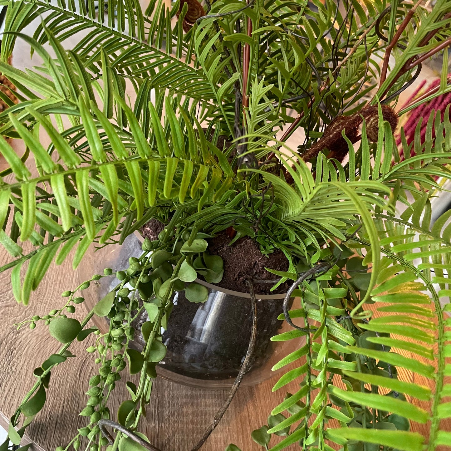 Fern in Glass Pot