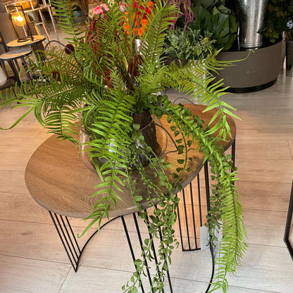 Fern in Glass Pot