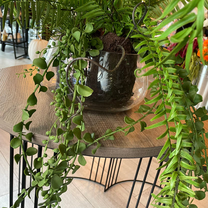 Fern in Glass Pot