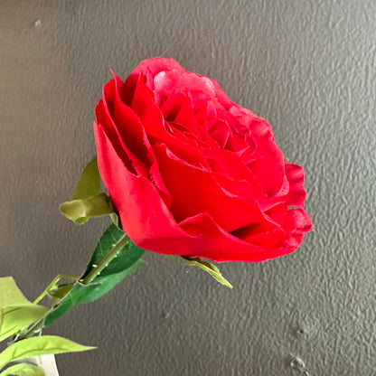 Single Red Rose Stem