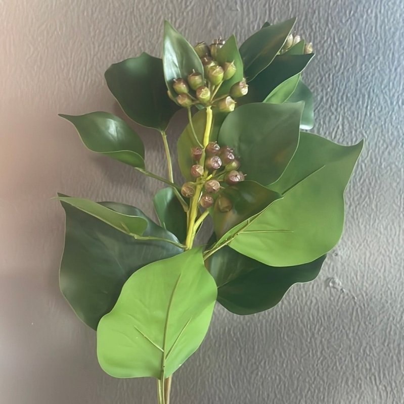 Ivy Leaf with Seed Head Stem - OUThaus