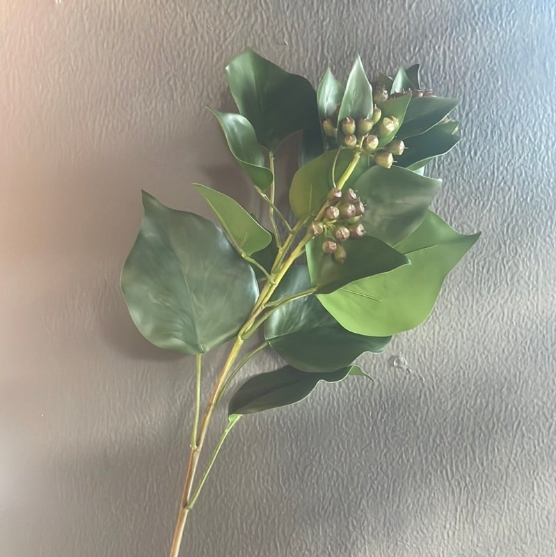 Ivy Leaf with Seed Head Stem - OUThaus