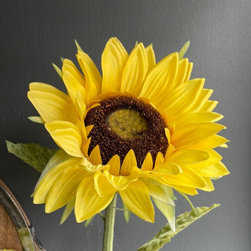 Large Sunflower - OUThaus